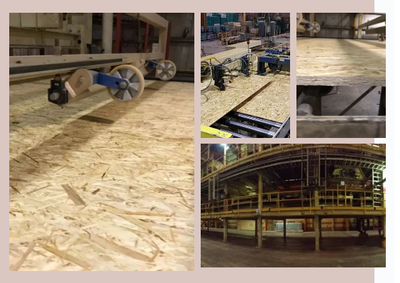 25道嚴苛工序，鑄就兔寶寶OSB五項全能——探秘加拿大OSB板材的精工之道